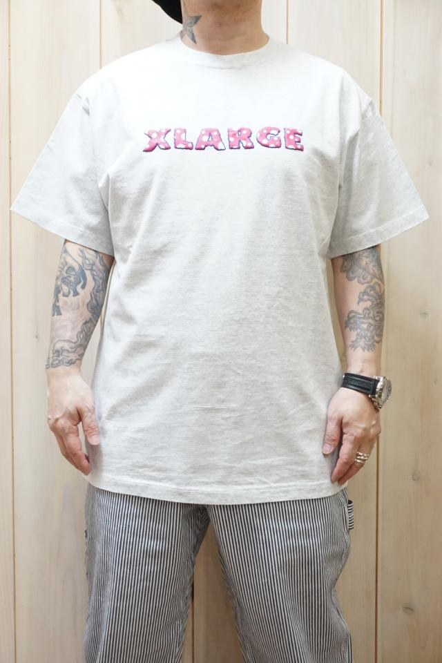 XLARGE エクストララージ 101222011011 WONDER LAND S/S TEE XLARGE ショートスリーブTシャツ ASH 正規通販 メンズ レディース